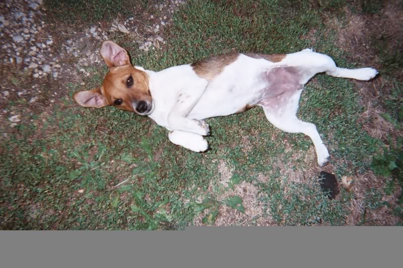 Name:  002_00A.jpg
Views: 62
Size:  114.1 KB