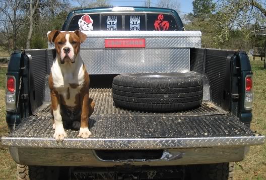 Name:  IMG_0305.jpg
Views: 56
Size:  62.1 KB