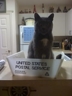 Name:  Shadow.jpg
Views: 29
Size:  13.3 KB