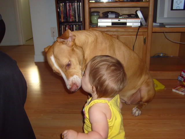 Name:  S7000336.jpg
Views: 64
Size:  85.6 KB