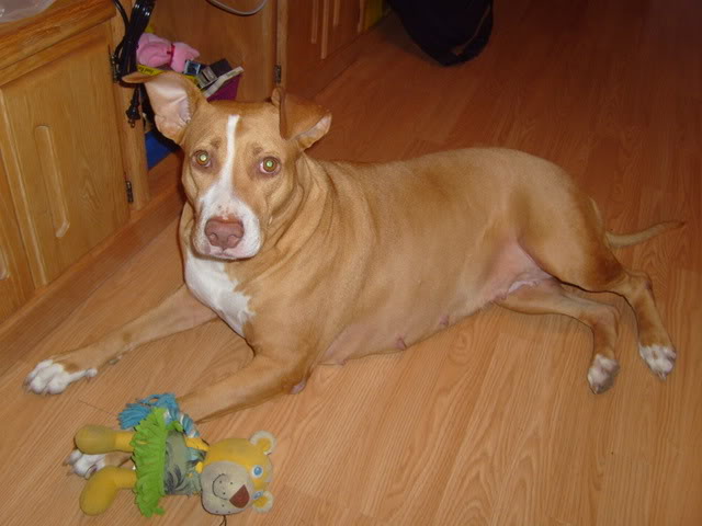 Name:  S7000341.jpg
Views: 36
Size:  85.0 KB