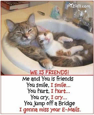 Name:  friends.jpg
Views: 18
Size:  36.5 KB