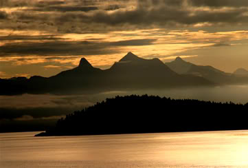 Name:  cruise5.jpg
Views: 13
Size:  17.8 KB