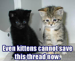 Name:  kittensaves.jpg
Views: 14
Size:  11.9 KB