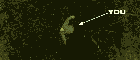 Name:  Thread.gif
Views: 4
Size:  398.5 KB