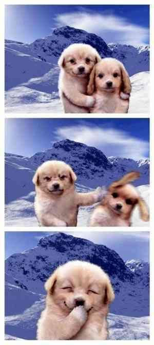 Name:  dogpush.jpg
Views: 16
Size:  22.6 KB
