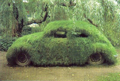 Name:  grass-covered-car.jpg
Views: 460
Size:  46.5 KB