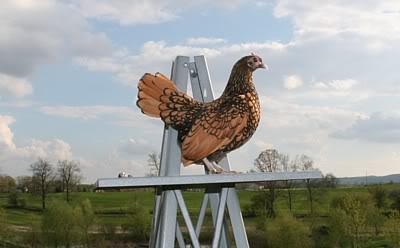 Name:  IMG_5194.jpg
Views: 60
Size:  26.4 KB