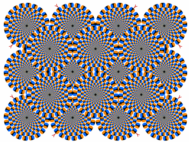 Name:  1spin.gif
Views: 11
Size:  222.4 KB