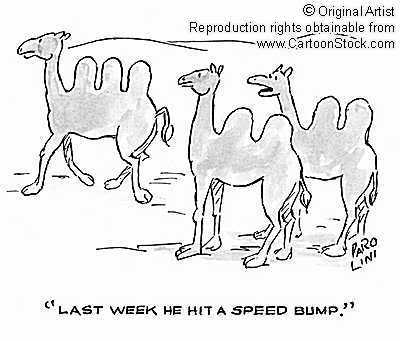 Name:  bump.jpg
Views: 15
Size:  20.0 KB
