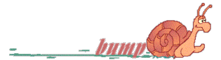 Name:  bump252Dturtle.gif
Views: 10
Size:  89.9 KB