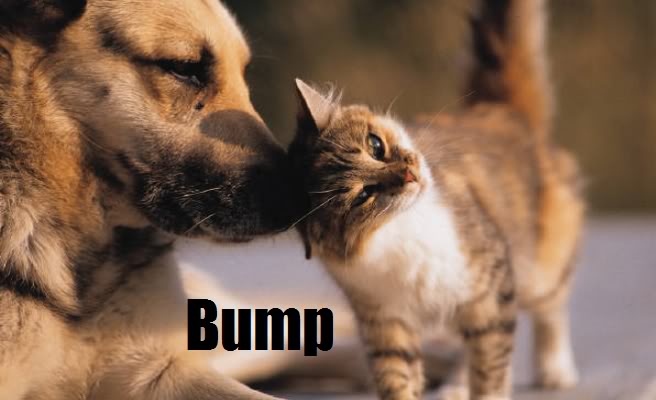 Name:  MyBump.jpg
Views: 16
Size:  33.7 KB