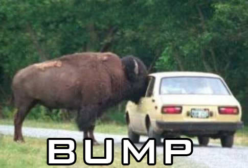 Name:  bump2.jpg
Views: 13
Size:  24.7 KB