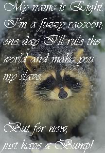 Name:  Raccoonbump.jpg
Views: 19
Size:  23.5 KB