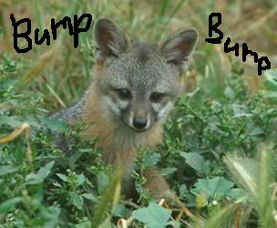 Name:  foxbump.jpg
Views: 26
Size:  16.6 KB