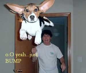 Name:  Beethesuperdogs.jpg
Views: 19
Size:  13.6 KB