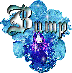 Name:  bumpGTS.gif
Views: 10
Size:  115.9 KB