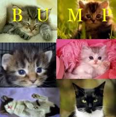 Name:  Bump.jpg
Views: 16
Size:  15.8 KB