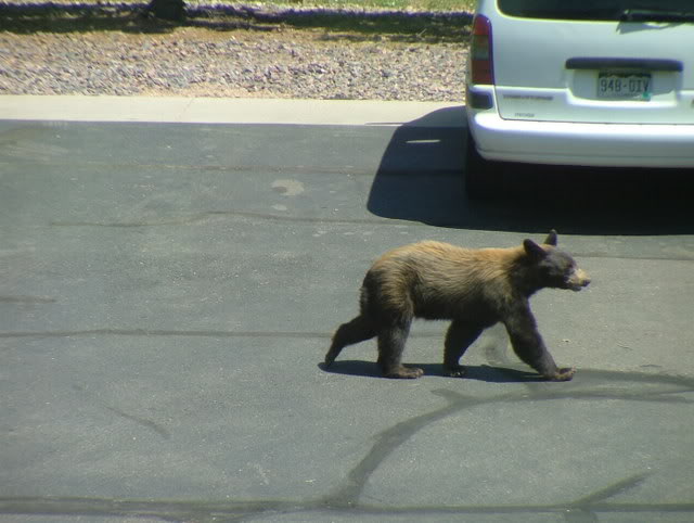 Name:  pond286.jpg
Views: 42
Size:  46.0 KB