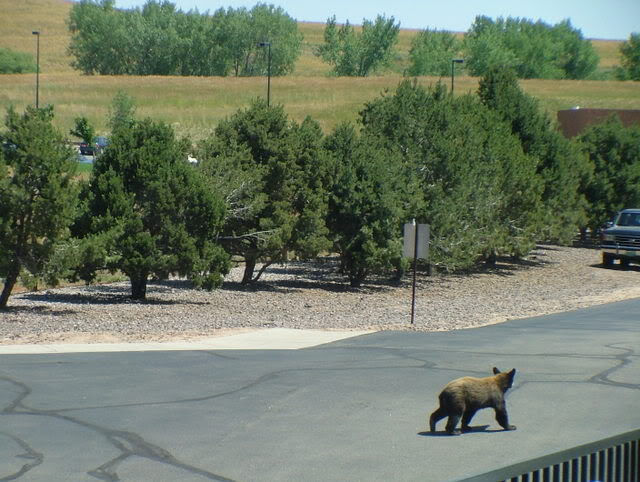 Name:  pond288.jpg
Views: 43
Size:  69.3 KB