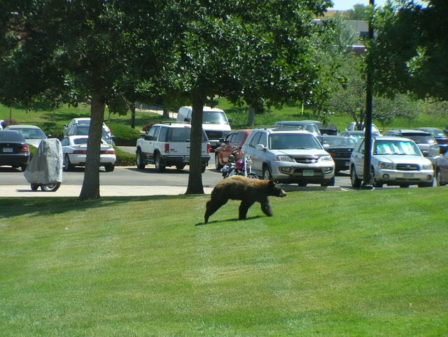 Name:  pond289.jpg
Views: 40
Size:  75.8 KB