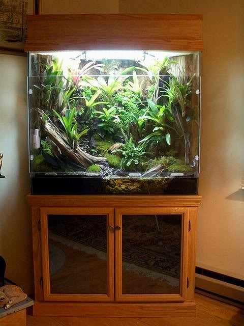 Name:  Vivwhole.jpg
Views: 64
Size:  49.5 KB