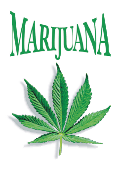 Name:  Green.gif
Views: 19
Size:  29.3 KB