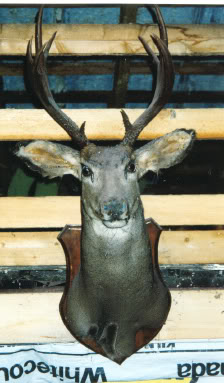 Name:  Jake.jpg
Views: 27
Size:  23.6 KB