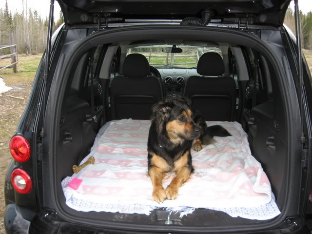 Name:  Carpics008.jpg
Views: 35
Size:  59.1 KB