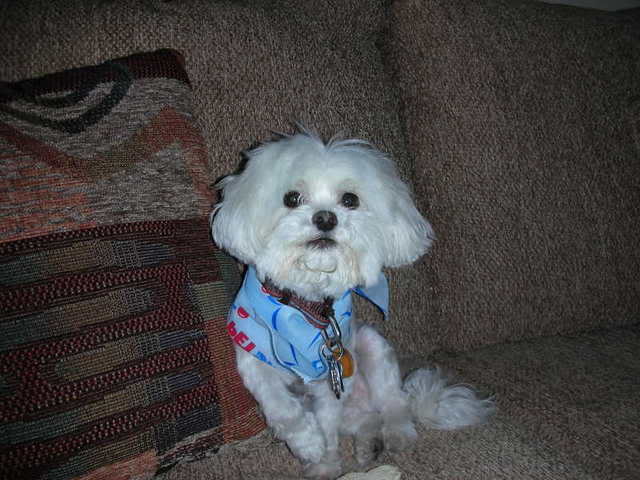 Name:  DSCN1700.jpg
Views: 30
Size:  45.1 KB