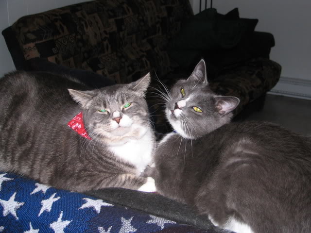 Name:  Janvier07015.jpg
Views: 33
Size:  55.2 KB