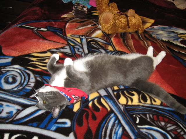 Name:  LilyLulu12-06011.jpg
Views: 35
Size:  71.3 KB