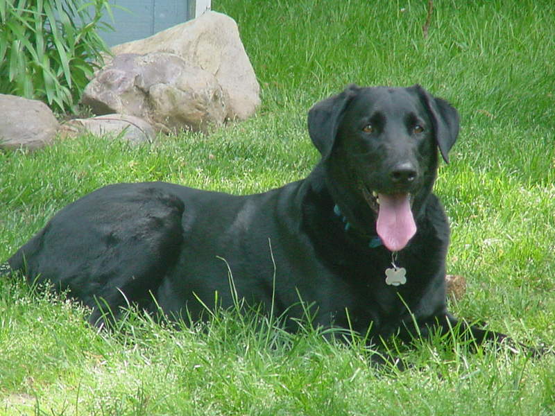 Name:  MVC-013F-1.jpg
Views: 76
Size:  91.7 KB