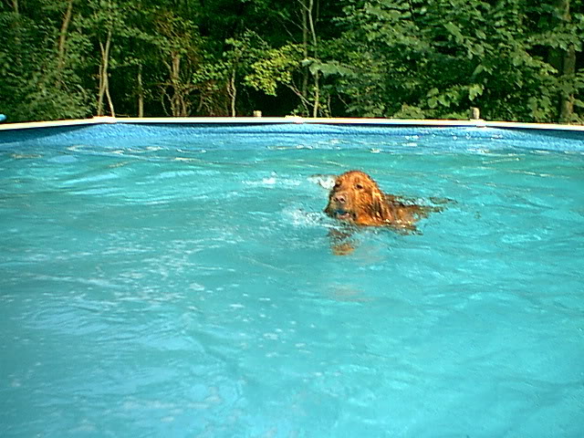 Name:  IMAGE006.jpg
Views: 130
Size:  87.3 KB