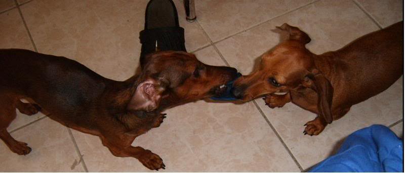 Name:  S4300065-1.jpg
Views: 35
Size:  30.6 KB