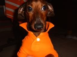 Name:  nathancolar.jpg
Views: 28
Size:  6.7 KB