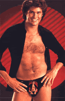 Name:  hasselhoffian-recursion-1.gif
Views: 21
Size:  150.4 KB