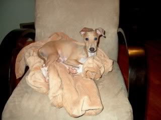 Name:  Picture002SmallWebview.jpg
Views: 433
Size:  10.8 KB