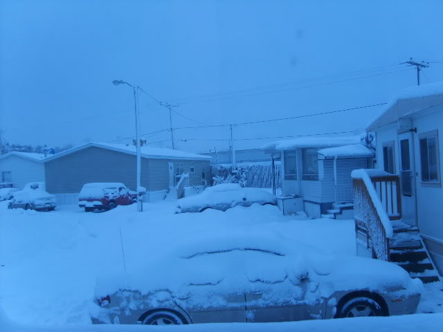 Name:  122906photos001.jpg
Views: 28
Size:  74.7 KB