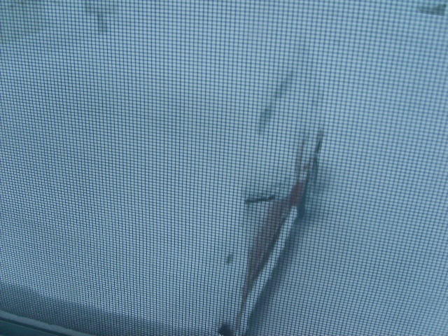 Name:  122906photos003.jpg
Views: 26
Size:  111.4 KB