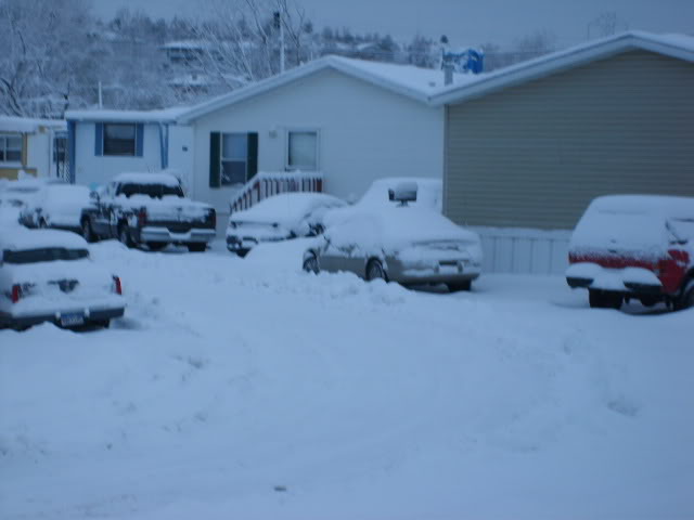 Name:  122906photos014.jpg
Views: 25
Size:  67.7 KB