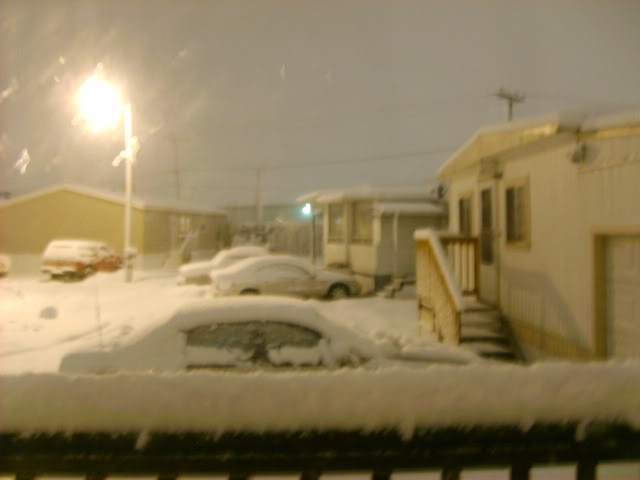 Name:  morefrigginsnow122806005.jpg
Views: 32
Size:  63.2 KB