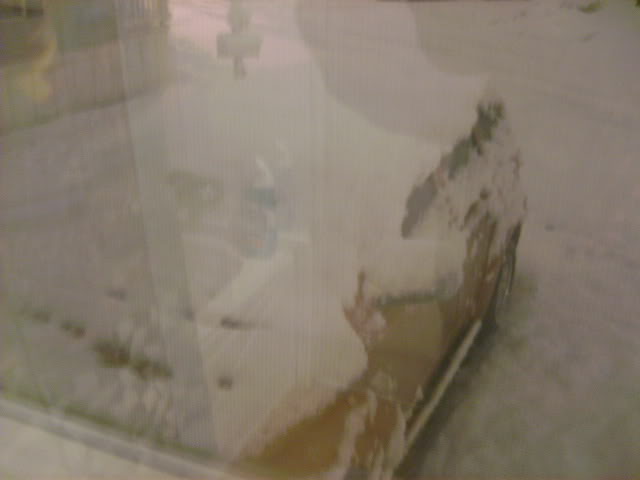 Name:  morefrigginsnow122806007.jpg
Views: 34
Size:  58.5 KB