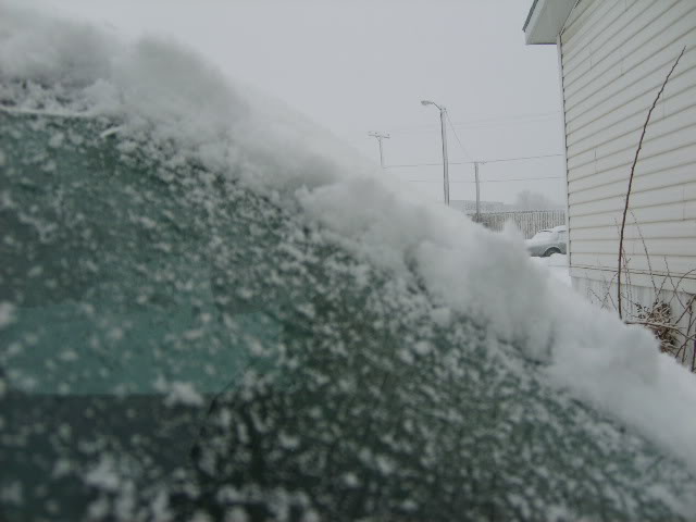 Name:  morefrigginsnow122806002.jpg
Views: 32
Size:  74.8 KB