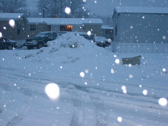 Name:  morefrigginsnow122806004.jpg
Views: 36
Size:  88.9 KB