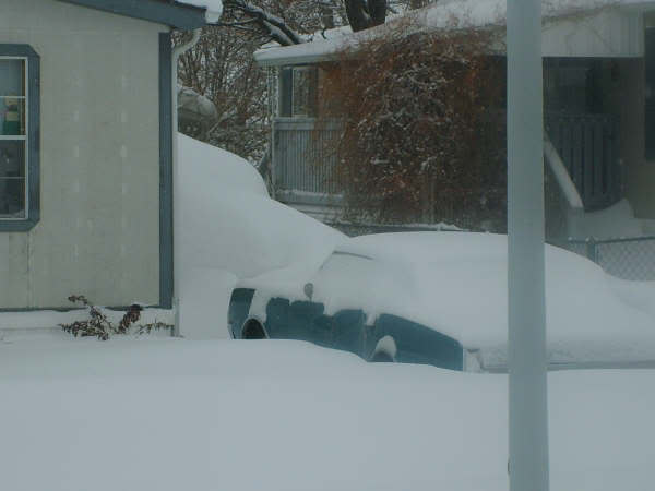 Name:  d38.jpg
Views: 38
Size:  19.2 KB