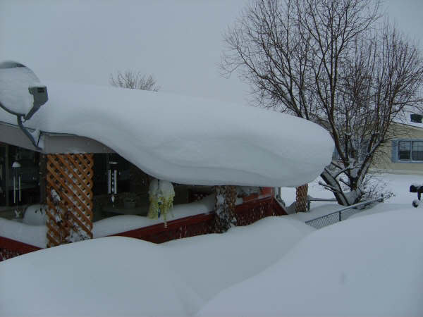 Name:  d9.jpg
Views: 46
Size:  27.7 KB