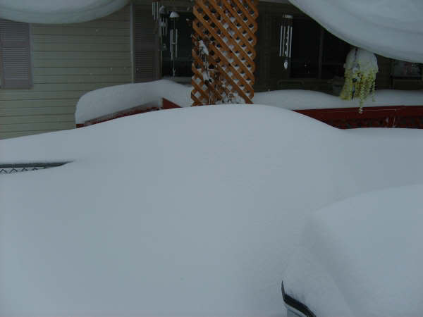 Name:  d32.jpg
Views: 36
Size:  14.5 KB