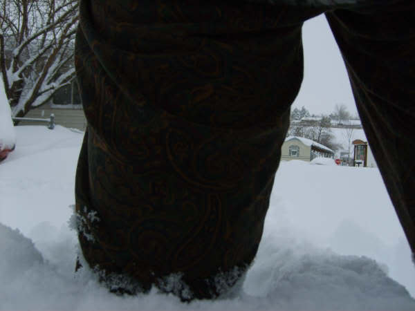 Name:  d17.jpg
Views: 42
Size:  19.6 KB