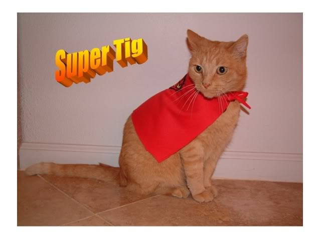Name:  SuperTig.jpg
Views: 33
Size:  27.5 KB